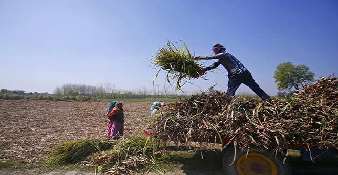 किसानों की आय दोगुनी करने के लिए अक्टूबर में ‘कृषि कुंभ’