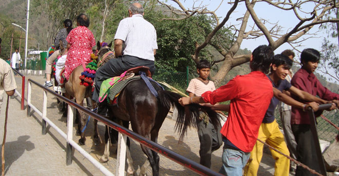 वैष्णो देवी में टट्टुओं के इस्‍तेमाल पर केंद्र को एनजीटी का नोटिस