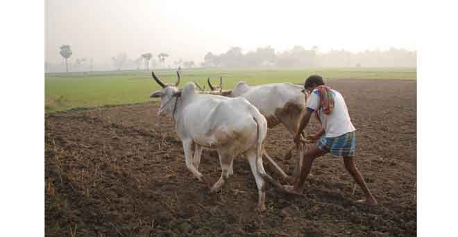 किसानों के लिए बजट में भाकियू ने मांगा विशेष प्रावधान