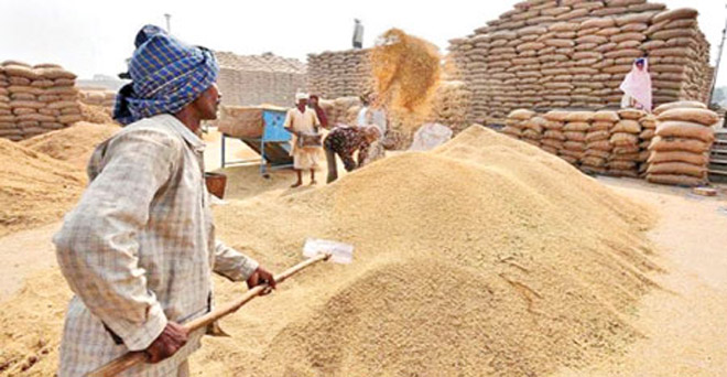 खरीफ में 370 लाख टन चावल की खरीद का लक्ष्य, पिछले साल से 11.56 लाख टन कम