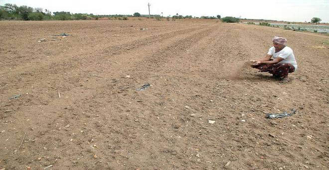 गुजरात : सूखे से गुजरात के किसान संकट में, रबी फसलों की बुवाई 42 फीसदी पिछड़ी