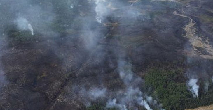कनाडा के जंगलों में भीषण आग, 7000 लोग विस्थापित