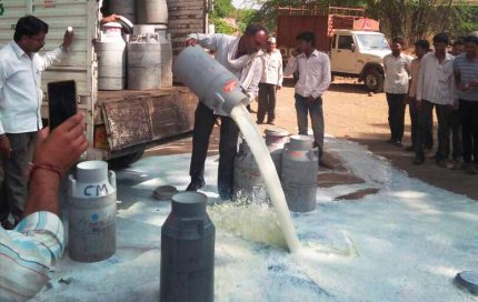 मुरैना में उचित दाम न मिलने पर किसानों ने सड़क पर बहाया दूध