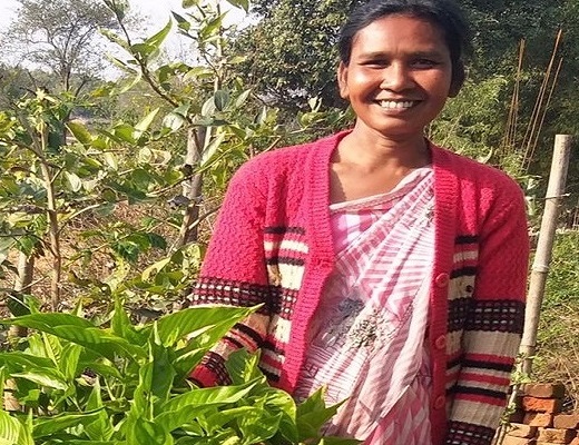 झारखंड: औषधीय पौधों से सुधर रही महिला किसानों की आर्थिक इम्युनिटी, विलुप्त हो रही होड़ो पैथी को भी मदद