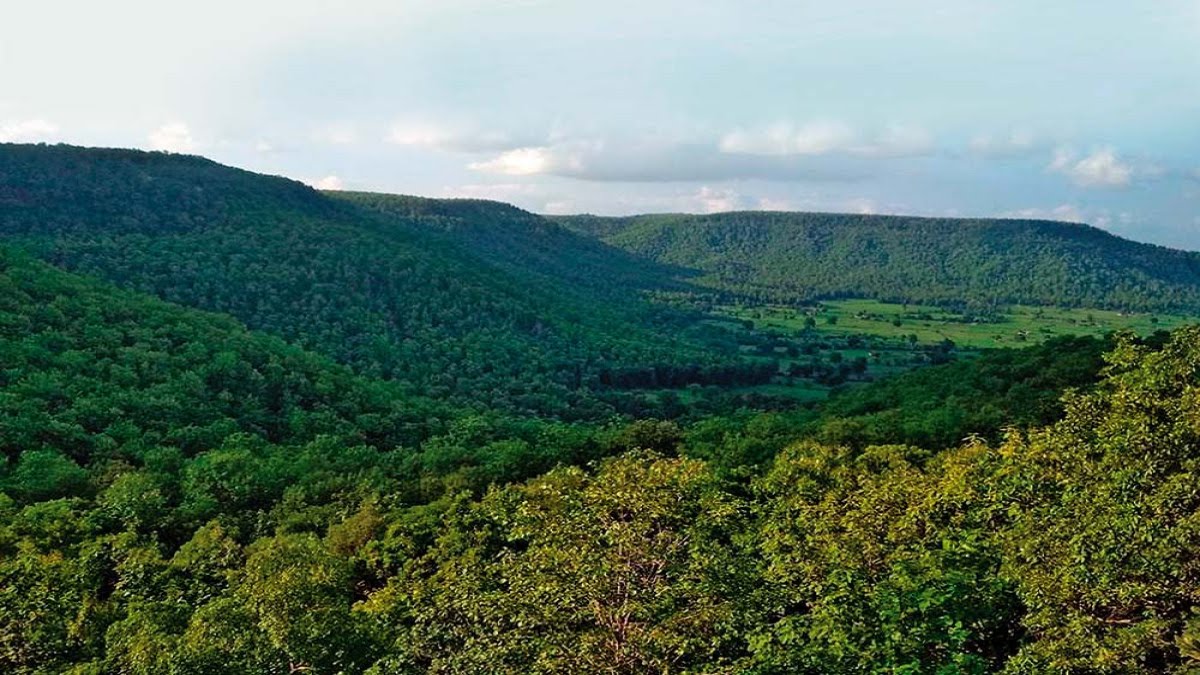 मध्यप्रदेश वन विभाग के प्रयासों और वन ग्राम समिति की मेहनत से हो रही है वनों की बहाली