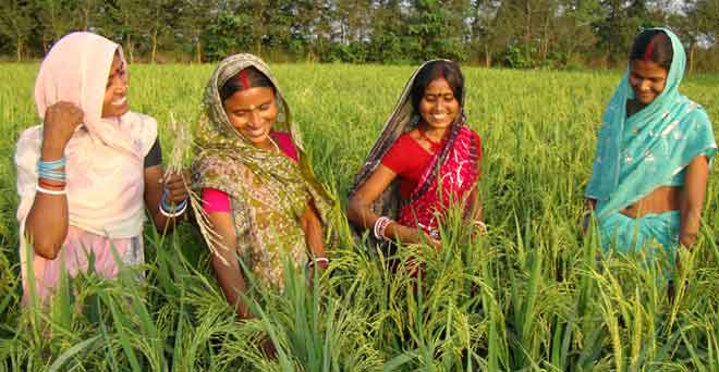 ऑनलाइन उत्पाद बेच सकेंगे बिहार के किसान