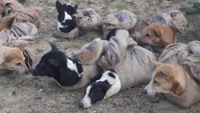 नगालैंड सरकार ने राज्य में कुत्ते के मांस की बिक्री और सेवन पर लगाया प्रतिबंध