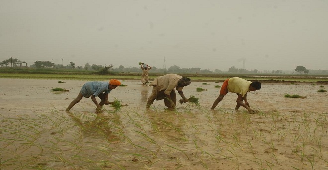 हरियाणा सरकार ने कहा किसान स्वयं लगाएंगे खेतों में रिचार्ज बोर तो सरकार देगी अनुदान