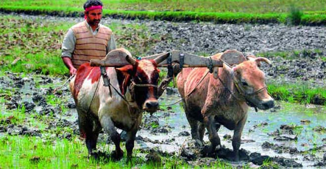 तेलंगाना में किसानों के एक लाख तक के कृषि ऋण में छूट देगी टीआरएस