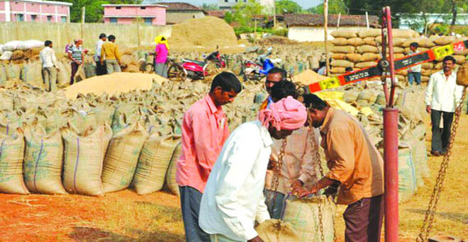 छत्तीसगढ़ में धान की सरकारी खरीद पर संकट, केंद्र ने चावल खरीदने से किया इनकार
