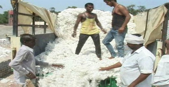 कोरोना वायरस: कपास और धागे के निर्यात सौदे रुके, घरेलू किसान मुश्किल में
