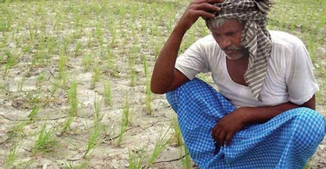 बिहार : सूखे से प्रभावित किसान 25 नवंबर तक कर सकते हैं सहायता के लिए आवेदन