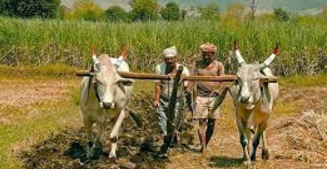 किसानों की आय बढ़ाने के लिए ओडिशा सरकार नई कृषि नीति लायेगी