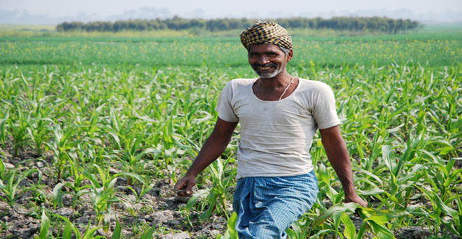 खरीफ फसलों की बुवाई 7 फीसदी पिछे, देशभर में मानसूनी बारिश सामान्य से 3 फीसदी कम