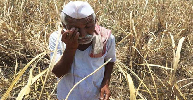 महाराष्ट्र के किसानों को अंतरिम राहत के रूप में 600 करोड़ की मदद