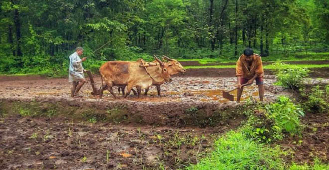 केंद्र ने राज्यों से जुलाई अंत तक पीएम-किसान योजना के लाभार्थियों की सूची मांगी
