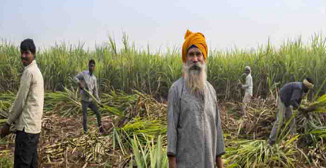 पंजाब में गन्ना किसानों के बकाया भुगतान का मुद्दा गरमाया