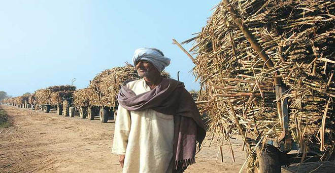 शाहजहांपुर के किसानों का चीनी मिलों पर 480 करोड़ रुपये बकाया-जितिन प्रसाद