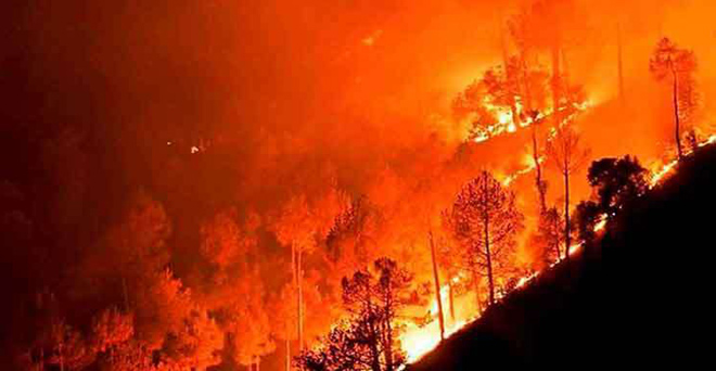 जंगल में आग: एनजीटी ने उत्तराखंड, हिमाचल प्रदेश से मांगा जवाब