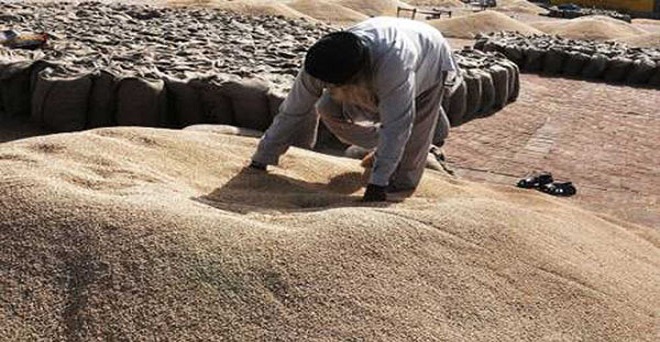 पंजाब की मंडियों में गेहूं बेचने के लिए 17 लाख किसानों को मिलेगा ई-पास