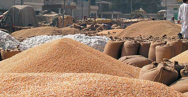 खरीफ में चावल, सोयाबीन और दलहन का उत्पादन अनुमान कम, कपास का 23 फीसदी ज्यादा-स्काईमेट