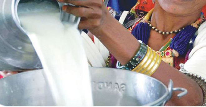 राजस्थान सरकार दूध किसानों को 2 रुपये प्रति लीटर बोनस देगी
