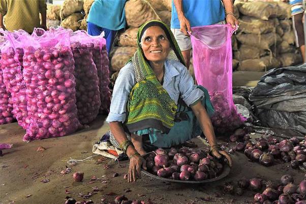 चंडीगढ़ की एक थोक सब्जी मंडी में प्याज छांटती एक महिला। पंजाब के राज्यपाल और चंडीगढ़ के प्रशासक वीपी. सिंह बदनोर ने प्रशासन को दिया था 'नो प्रॉफिट नो लॉस बेस' पर प्याज बेचने का निर्देश