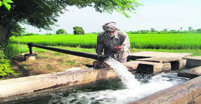 पंजाब के किसानों को मुफ्त बिजली मिलती रहेगी : कैप्टन अमरिन्दर सिंह