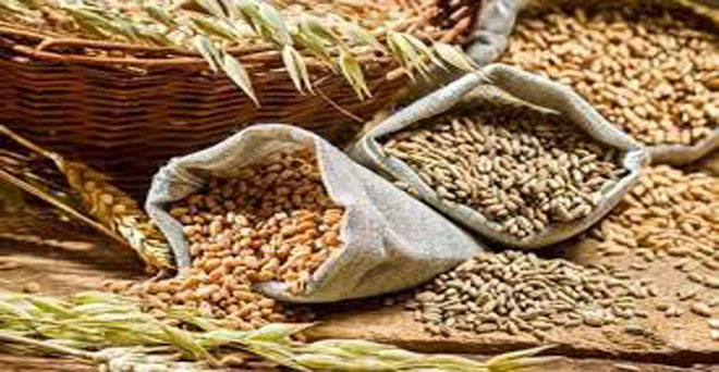 खाद्यान्न उत्पादन 28.33 करोड़ टन होने का अनुमान, गेहूं और चावल का रिकार्ड उत्पादन