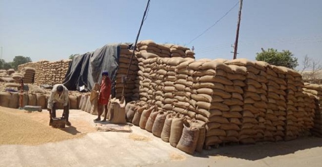 गेहूं की खरीद 360 लाख टन, कृषि कर्ज चुकाने के लिए 31 अगस्त तक मिली रियायत