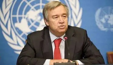 'हम सभी धर्मों के लिए सम्मान और सहिष्णुता को दृढ़ता से प्रोत्साहित करते हैं': पैगंबर विवाद के बीच बोले संयुक्त राष्ट्र प्रवक्ता