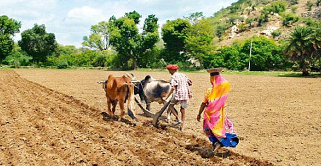 राजस्थान के 19.42 लाख किसानों का 7 हजार 810 करोड़ ऋण हुआ माफ-आंजना