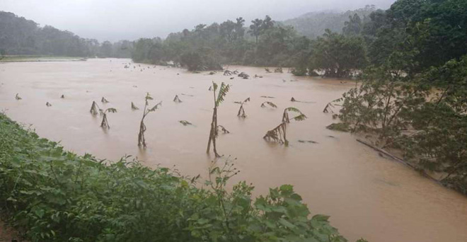 कर्नाटक के 17 जिलों में बाढ़ से 4.20 लाख हेक्टेयर में फसलों को नुकसान