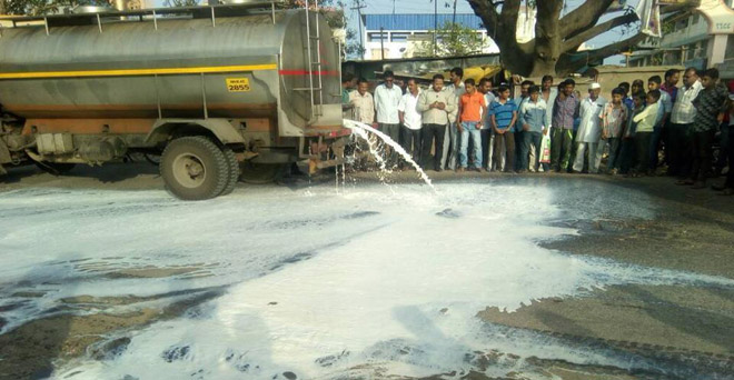 गुस्से में हैं महाराष्ट्र के दूध उत्पादक, राज्य में संकट गहराने की आशंका
