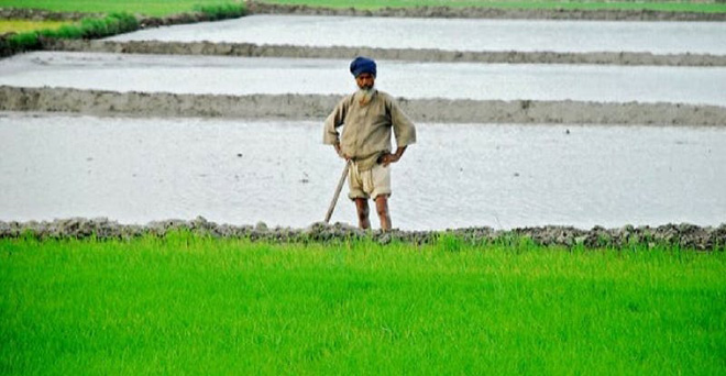 पंजाब : किसानों को ऋणजाल से बचाने के लिए निजी साहूकारों के लिए लाईसेंस अनिवार्य