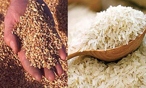 पंजाब ने लॉकडाउन के दौरान जरूरतमंदों के लिए गेहूं-चावलों के 2831 रैक दूसरे राज्यों को भेजे