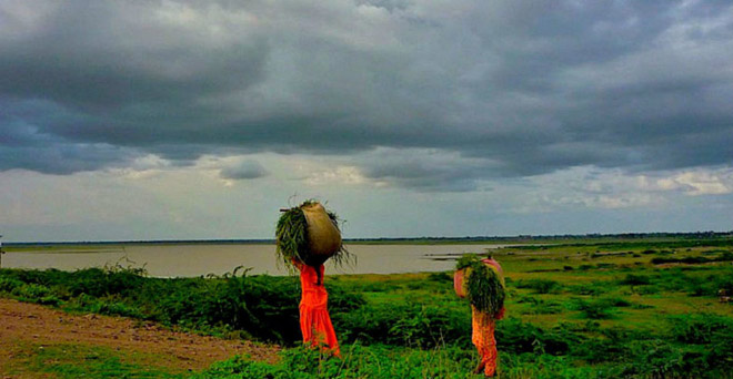 मध्य महाराष्ट्र, तटीय आंध्रप्रदेश और तेलंगाना समेत कई राज्यों में बारिश का अनुमान, मानसून की विदाई शुरू