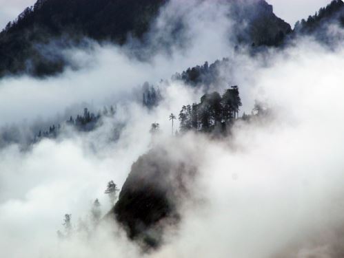 हिमाचल प्रदेश में बादल फटने से एक व्यक्ति की मौत, तीन घायल