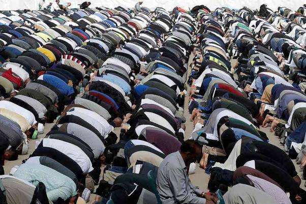 क्राइस्टचर्च के हागले पार्क में नमाज अदा करते मुस्लिम