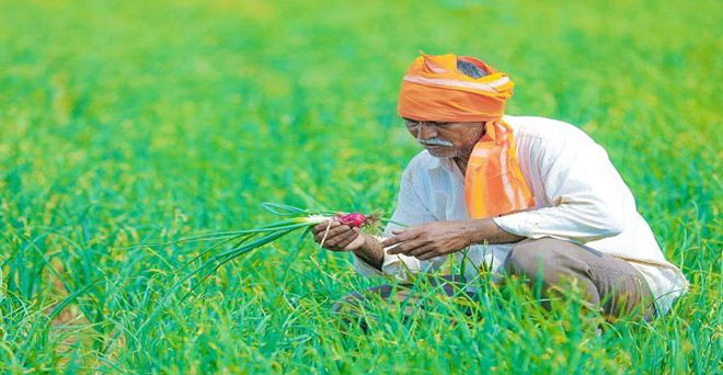 पीएम किसान योजना के लिए राजस्थान के 38.10 लाख किसानों ने आवेदन किया