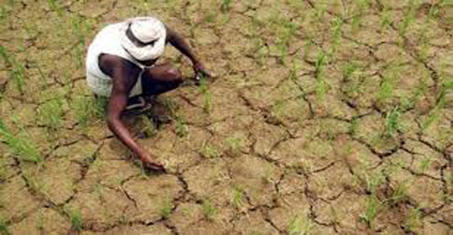 केरल में बाढ़ से तो तमिलनाडु और कर्नाटक में सूखे से खरीफ फसलों को नुकसान की आशंका
