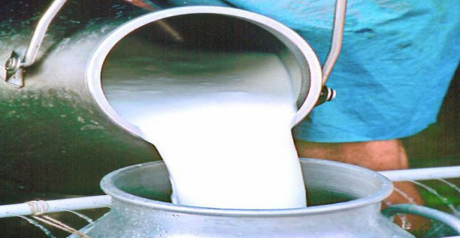 दूध की कीमतों को लेकर महाराष्ट्र में आंदोलन शुरू-पूरे राज्य में दूध की आपूर्ति बंद