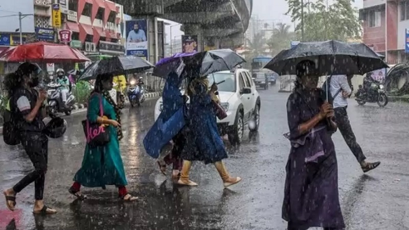 केरल में बारिश: राज्य के कई हिस्सों में भारी बारिश के कारण 6 जिलों में येलो अलर्ट
