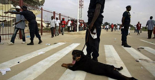 अंगोला में फुटबाल स्‍टेडियम में भगदड़, 17 की मौत