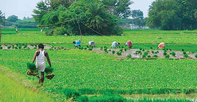 देश के 15 राज्यों के किसानों को नहीं मिली है पीएम-किसान योजना  की तीसरी किस्त