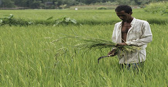 ओडिशा से पीएम-किसान योजना के लाभार्थियों की सूची 31 जुलाई देने की मांग