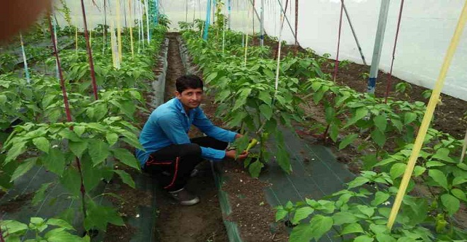 युवाओं को कृषि से जोड़ने के लिए दीर्घकालिक नीति जरूरी - डॉ. आर.एस. परोदा