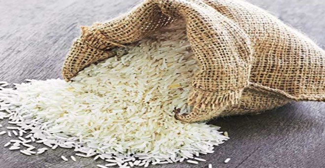 बासमती के साथ गैर बासमती चावल का निर्यात बढ़ा, अक्टूबर में आयेगी नई फसल