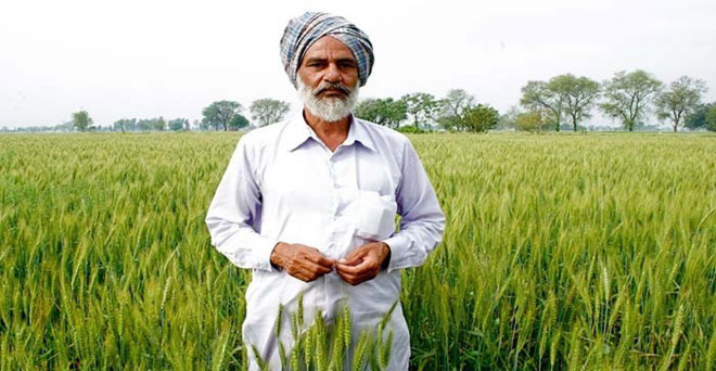 पीएम-किसान योजना में दो करोड़ किसानों को दी जा चुकी है पहली किस्त-कृषि मंत्री