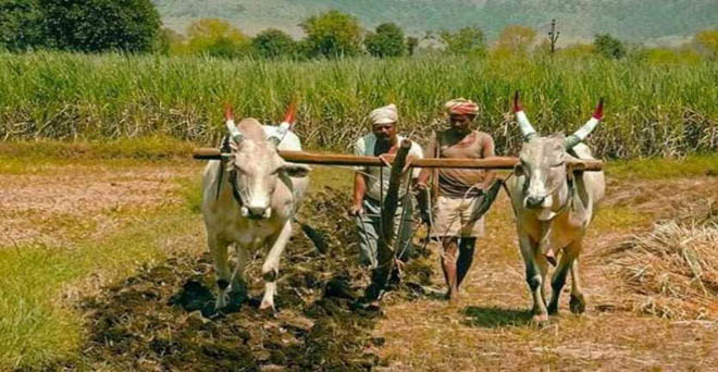 पीएम-किसान की दूसरी किश्त 2.66 करोड़ किसानों को भेजी गई